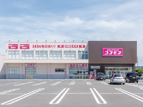 ドラッグコスモス 作新台店